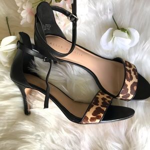 Kelly & Katie heels 🖤🐆